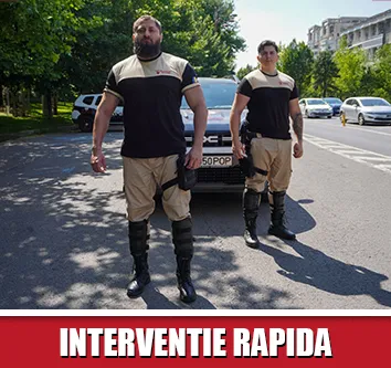 Interventie rapida